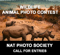 Nat Photo Society - Wildlife