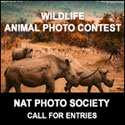 Nat Photo Society Wildlife Photography Contest