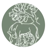 Ecco Eco Awards