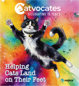 Catvocates - A Celebration of Cats